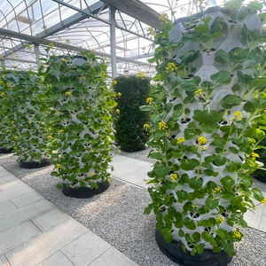 Skyplant Aeroponic Vertical para Tower Garden Sistema hidropónico Agricultura de plástico a la venta con Motor de núcleo y componentes de bomba - Product Image 5