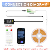 Contrôleur de bande LED monochrome ESann SP661E avec application à distance, DC 5V 12V 24V 4A, contrôle de groupe d'éclairage LED