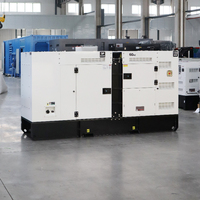 Generador Diésel Silencioso para Exteriores de 100kw 130kva, Generador Cummins de 125kva, Generador Yangdong de 100kva 80kw