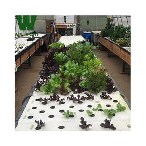 Invernaderos de un solo aro para equipos de acuicultura de cultivo de <span class=keywords><strong>peces</strong></span> y vegetales acuáticos - Product Image 2