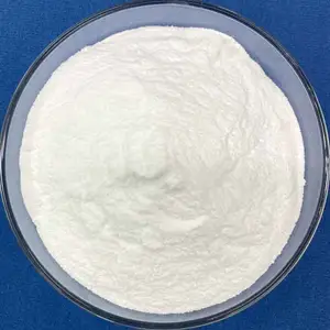 Fabricant Approvisionnement en vrac Poudre de soude à laver Na2CO3 Carbonate de sodium