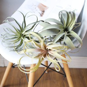 Plantes artificielles Dongguan Dream Castle en PVC souple 13-25cm, Tillandsia simulé, verdure décorative d'intérieur - Product Image 1