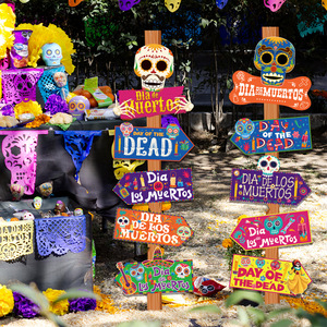 10 Uds Día <span class=keywords><strong>de</strong></span> los <span class=keywords><strong>muertos</strong></span> calavera señal dirección señal para <span class=keywords><strong>Dia</strong></span> <span class=keywords><strong>De</strong></span> <span class=keywords><strong>Muertos</strong></span> fiesta foto accesorios decoraciones evento Decoración - Product Image 6