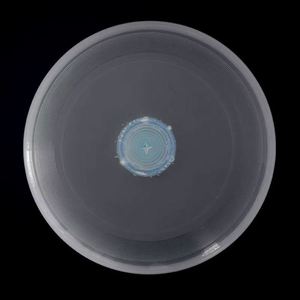 Lanceur de disque volant d'extérieur personnalisé avec lumières LED pour promotion - Product Image 4