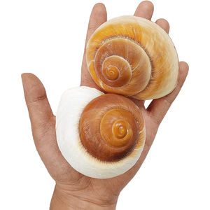 2 Stuks Muffinslak Grote Heremietkreeft Schelpen 2.7 ~ 3.5Inch Natuurlijke Zeeschelp Opening Maat 1 "~ 1.5" Heremietkreeft - Product Image 1