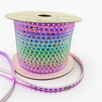 Guirlandes lumineuses étanches pour extérieur 220V 5050RGB-12mm-96LED, découpables, 2 lignes, 100m/rouleau, IP65, éclairage décoratif caché pour plafond de maison