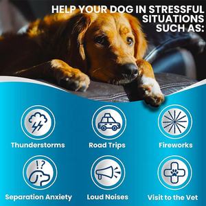 Cane ansia sollievo e Stress viaggio separazione tuono sonno cani calmante canapa mastica - Product Image 3