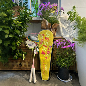 Kesika – raquettes de badminton en aluminium, paquet de 2, entraînement léger pour amateurs juniors K3839 - Product Image 1