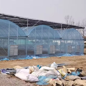 <span class=keywords><strong>Invernadero</strong></span> Multiusos Personalizado de Gran Tamaño, <span class=keywords><strong>Invernadero</strong></span> Agrícola de Polietileno, Precio de Fábrica, <span class=keywords><strong>Invernadero</strong></span> Multiusos de Primera Calidad - Product Image 2
