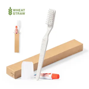 Brosse à dents en fibre de blé, gadgets écologiques - Product Image 1