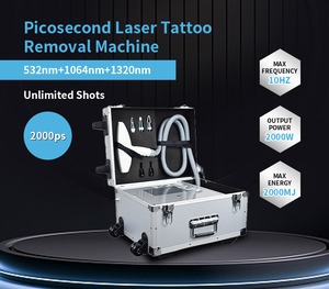 Appareil portable de traitement au laser picoseconde pour l'élimination des tatouages, des grains de beauté et des taches de rousseur, avec conception en valise, pour salons et cliniques - Product Image 2