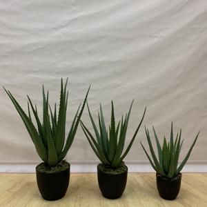 Venta caliente árbol hecho a mano en macetas Aloe <span class=keywords><strong>Vera</strong></span> plantas artificiales para decoración del hogar Decoración interior al aire libre Oficina aire fresco - Product Image 6