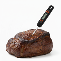 Termometer Digital Portabel Fleksibel Terbaik dengan Layar LCD, Bertenaga Baterai, Bahan ABS+Stainless Steel, Pembacaan Cepat