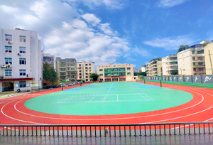 Suelo deportivo híbrido INOLP fabricado en China, rendimiento de larga duración, estabilización UV antienvejecimiento, pista para correr de alta durabilidad - Product Image 6