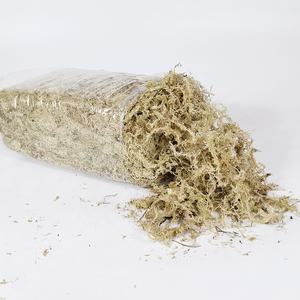Mousse de Sphagnum Séchée Premium OEM Personnalisée 5kg en Matériau de Verre Compressé pour Reptiles en Vrac - Product Image 1