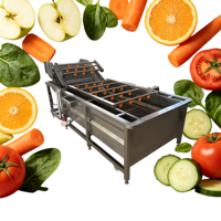 Hoog rendement multifunctionele luchtbelreinigingsmachine met ozonontsmetting Groente Fruitwasmachine Apparatuur 380V motor