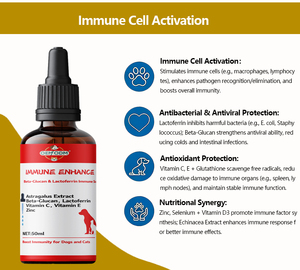 תוסף מחמד oem מחמד תוספת עם פסיליום האבקה ויטמינים d3/e/<span class=keywords><strong>b12</strong></span> טיפות נוזלי לחתולים כלבים תמיכה חיסונית עיכול רגיש - Product Image 5