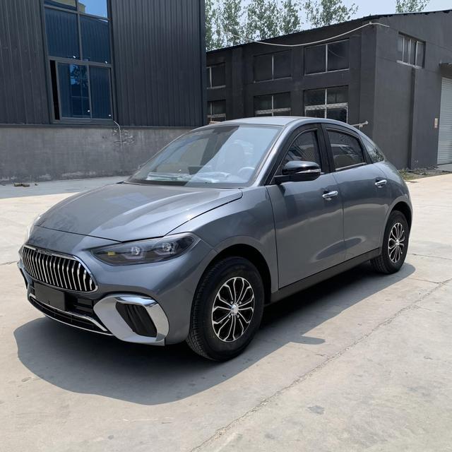 2025 Made in China New Style Factory Direct Sales Four Wheel Electric Mini Car for Adult