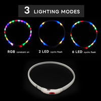 Collier d'accessoires pour animaux de compagnie en silicone rechargeable avec logo imprimé OEM Collier de chien à LED clignotante personnalisé