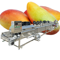 Industriële vibrerende gemotoriseerde aardappel- en groentewasmachine met droogfunctie voor fruit en maïs