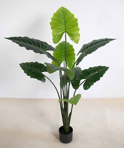 <span class=keywords><strong>Alocasia</strong></span> Artificial <span class=keywords><strong>de</strong></span> Tallo Grueso y Resistente en Maceta <span class=keywords><strong>de</strong></span> Plástico, <span class=keywords><strong>de</strong></span> Múltiples Tamaños, para Decoración Interior, Planta Verde Tropical <span class=keywords><strong>de</strong></span> Bajo Mantenimiento - Product Image 4