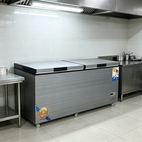 Congélateur coffre double température 300L à ouverture par le haut, commercial pour la restauration et l'hôtellerie