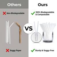 Pailles à boire biodégradables en PLA, compostables, écologiques, jetables, pour café, jus, smoothie, sans BPA, vente en gros
