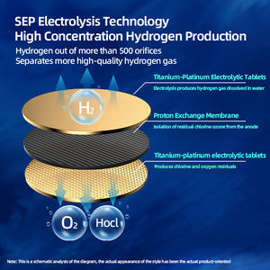 Bouteille d'eau hydrogénée à fréquence d'amour de 528 Hz |   Antioxydant à double effet + Guérison par vibration |   OEM disponible - Product Image 4