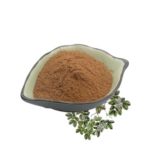 B.C.I Supply Customized Male Health Tongkat Ali Capsules Maca Capsules Tribulus Terrestris Capsule - Product Image 1