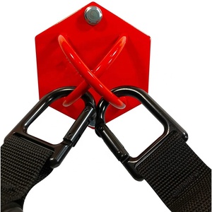 Soporte Deportivo Wellshow para Montaje en Pared o Techo, de Acero de Máxima Resistencia, para Ganchos de Trapecio, <span class=keywords><strong>Bandas</strong></span> de Resistencia, Anillos de Gimnasia - Product Image 2