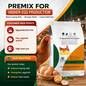 Additif Alimentaire Prémélangé Best-Seller <span class=keywords><strong>pour</strong></span> Poules Pondeuses – Améliore la Production d'Œufs – Nutrition Avicole – Vente Directe Usine - Product Image 6