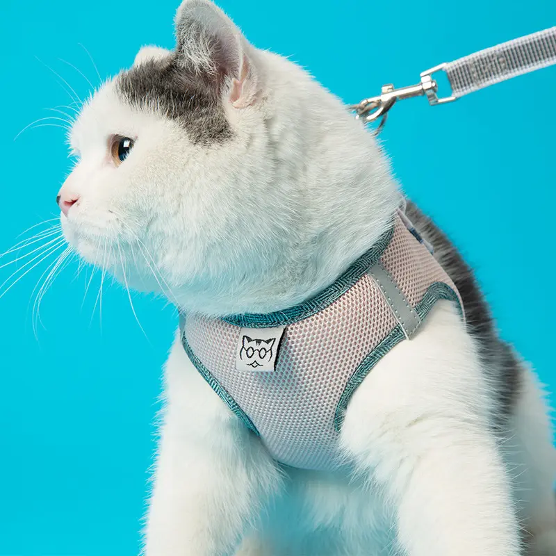 Oem Oem Odm ayarlanabilir lüks yansıtıcı nefes kedi köpek Pet tasma kayış seti