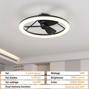 Modern LED Ceiling <b>Fan</b> Light DC Motor Remote App <b>Control</b> 6 Wind Speed Timer 1-2H 3 Color flush Mount for Living Room bedroom - Product Image 6