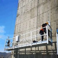 Plataforma Colgante Eléctrica ZLP500 Galvanizada para Construcción, Andamio Colgante, 2x1.5kW