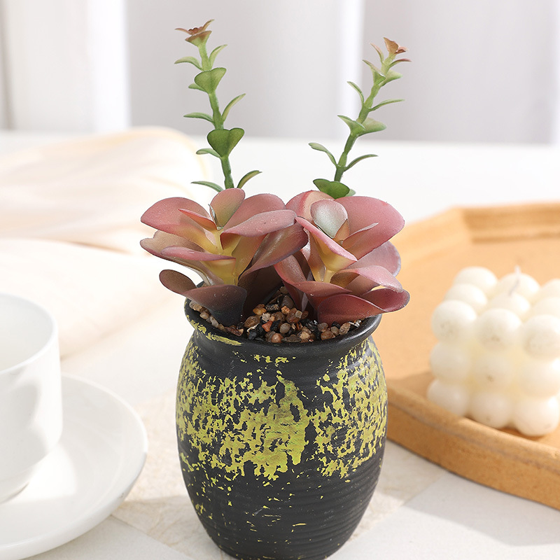 Pot jaune succulent en pot de terre