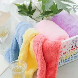 Super Fast Absorbent Microfiber Head Towel Coral Fleece Hair Towel Warp