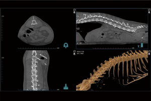 Escáner de TC Veterinario Multifuncional con Certificación CE a Bajo Precio para Animales Pequeños, Equipo Veterinario - Product Image 5