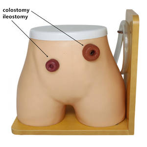 Advancd con người giải phẫu LỖ RÒ <span class=keywords><strong>ostomy</strong></span> đào tạo manikin y tế mô hình điều dưỡng cho y tá - Product Image 3