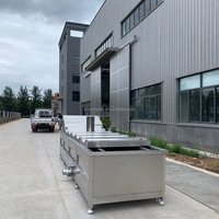 Nieuwe industriële waterblancheringsmachine met temperatuurregeling, SUS 304 roestvrij staal, elektrische/stoomverwarming, capaciteit 100 kg/uur
