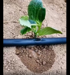 ชุดอุปกรณ์<span class=keywords><strong>รด</strong></span>น้ำหยดขนาด 16 มม. พร้อมปั๊มน้ำ กรองน้ำ หัวฉีด<span class=keywords><strong>ปุ๋ย</strong></span>เวนทูรี ชุดเต็มสำหรับการเกษตร สำหรับฟาร์มขนาด 1 เอเคอร์ - Product Image 4