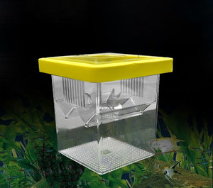 Caja de Incubación Acrílica Cuadrada Resistente, Ideal para Aislamiento de Peces, Cría de Medusas y <span class=keywords><strong>Guppys</strong></span>, para Escritorio o Dormitorio - Product Image 5