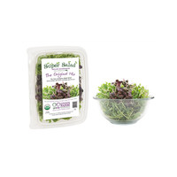 Machine d'emballage sous vide par thermoformage pour légumes frais, salades, produits, scellage de barquettes en rouleaux, emballage alimentaire