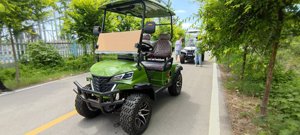 Productos Más Vendidos, Carritos Turísticos de Lujo con Motor de 4kw de Alta Configuración y Neumáticos Todoterreno - Product Image 5