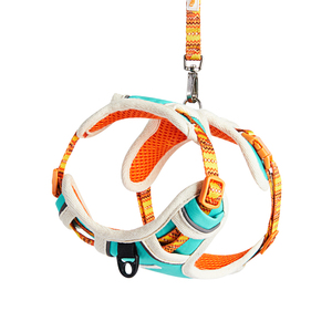 Custom Pattern No Push Harness Set Durable Print <b>Dog</b> Leash for Running Walking Meash Padding Harness and Leash Set - Product Image 3