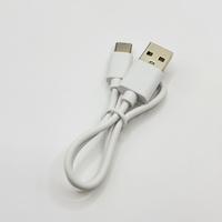 Câble de charge USB-A vers Type-C certifié RoHS, protection environnementale, 1A, PVC, vente en gros d'usine, export pour Type C