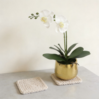 Anggrek Phalaenopsis Buatan Putih dengan Akar dalam Pot Keramik Emas dengan Tanah Buatan Bunga Palsu untuk Dekorasi Ruang Tamu.