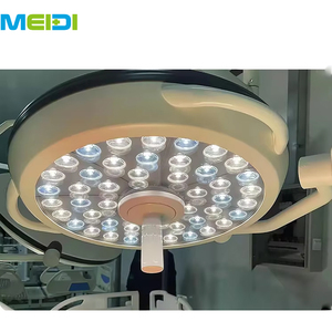 Shadowless Light Dental Theatre Surgical <strong>Operating</strong> Room <strong>Lamp</strong> LED Single Head Veterinary Light - Product Image 2