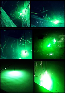 Universele Groen Onderwater Led Vissen Licht 500W 110V 220V Spanning Vissen Collection - Product Image 6