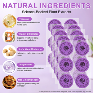 Acentiallabs 개인 라벨 OEM 천연 비타민 B 복합체 어린이를위한 슈퍼 포커스 패치 성인 초점 건강 지원 - Product Image 2