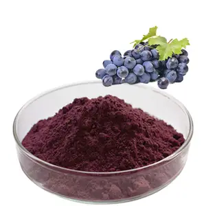 100% טבעי ואורגני פירות וירקות אבקה טהור מתייבש צמח תמצית צמח קליפת צבעי מזון ענבים עור אדום